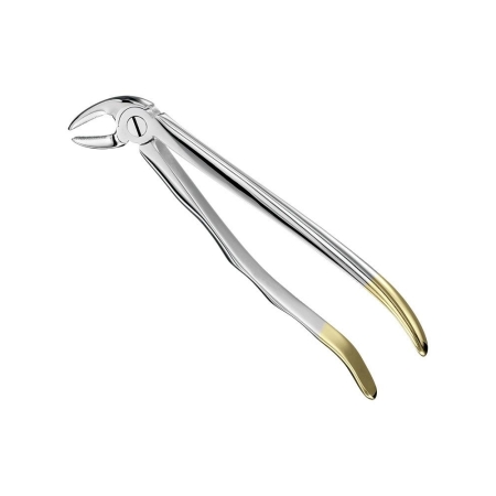 Extracting Forceps, Anat.